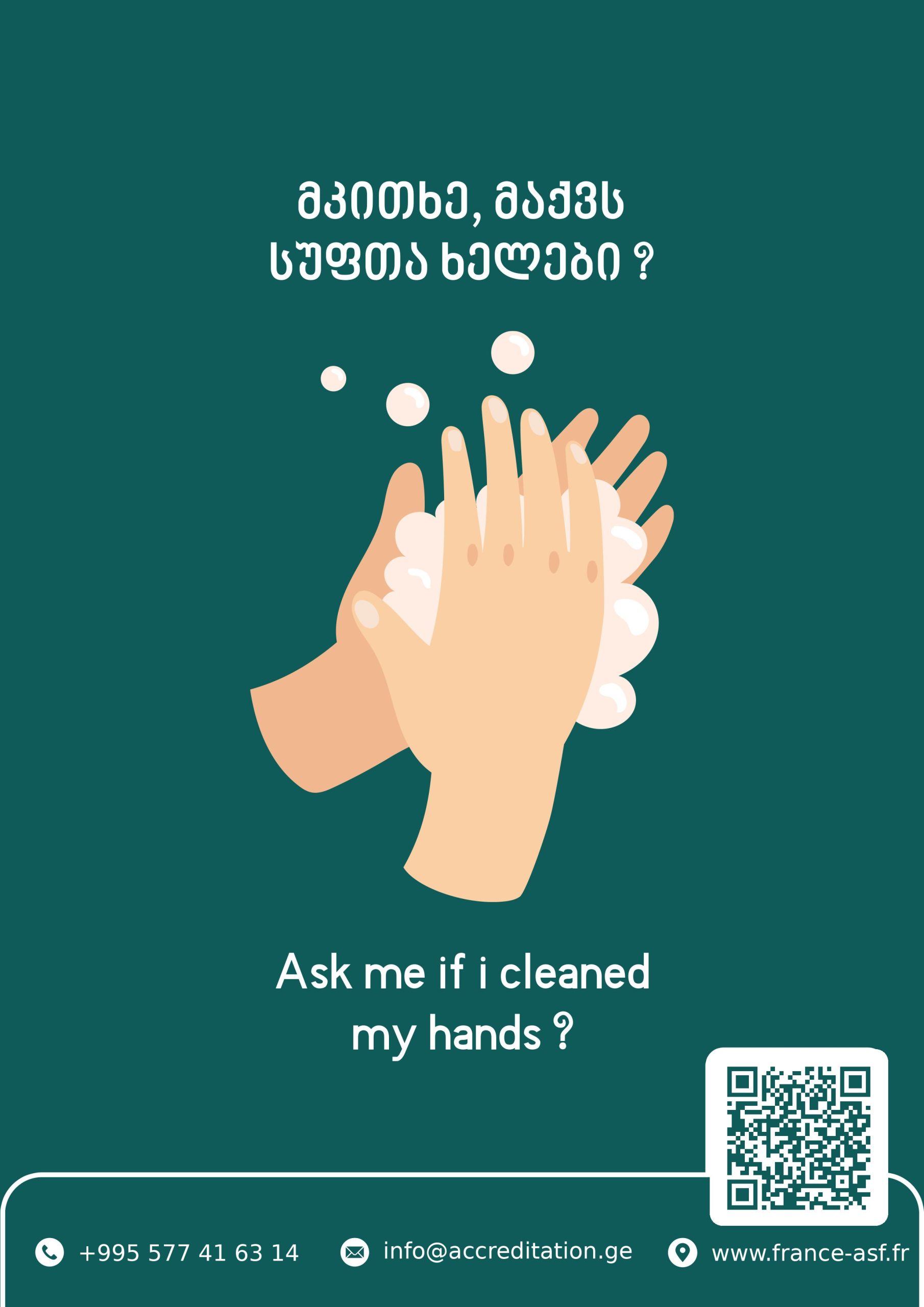 Ask Me If I Cleaned My Hands — patient-safety poster — ASF patient-safety poster, Georgian edition