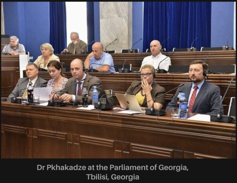 Parlement de Géorgie — commission politique